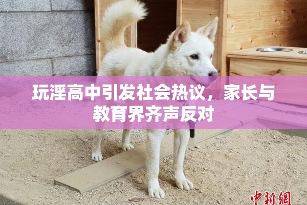 玩淫高中引发社会热议，家长与教育界齐声反对