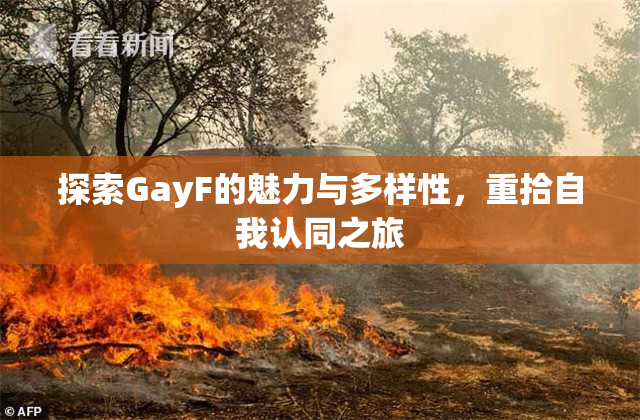 探索GayF的魅力与多样性，重拾自我认同之旅
