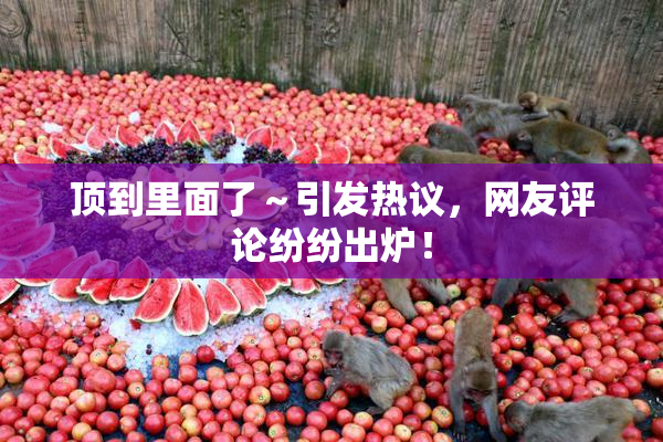 顶到里面了～引发热议，网友评论纷纷出炉！