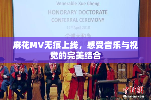 麻花MV无痕上线，感受音乐与视觉的完美结合