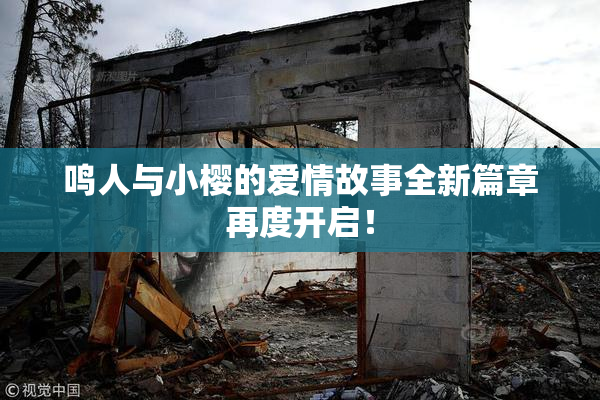 鸣人与小樱的爱情故事全新篇章再度开启！
