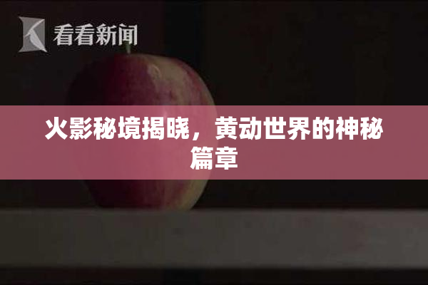 火影秘境揭晓，黄动世界的神秘篇章