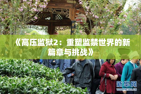 《高压监狱2：重塑监禁世界的新篇章与挑战》