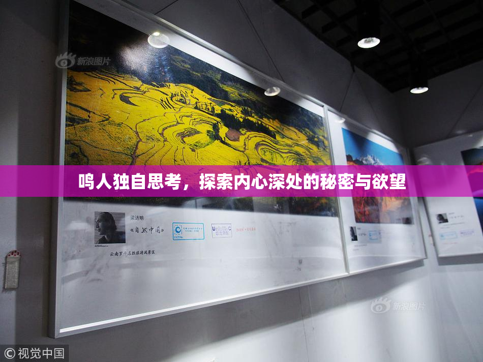 鸣人独自思考，探索内心深处的秘密与欲望