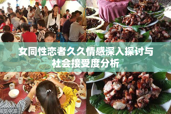 女同性恋者久久情感深入探讨与社会接受度分析