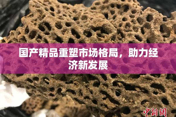 国产精品重塑市场格局，助力经济新发展