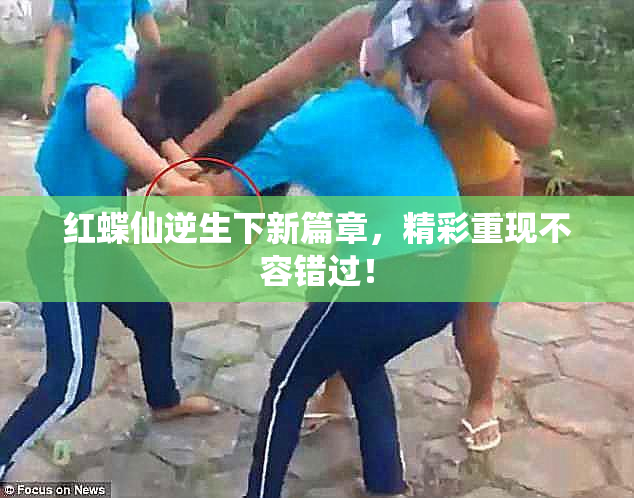 红蝶仙逆生下新篇章，精彩重现不容错过！
