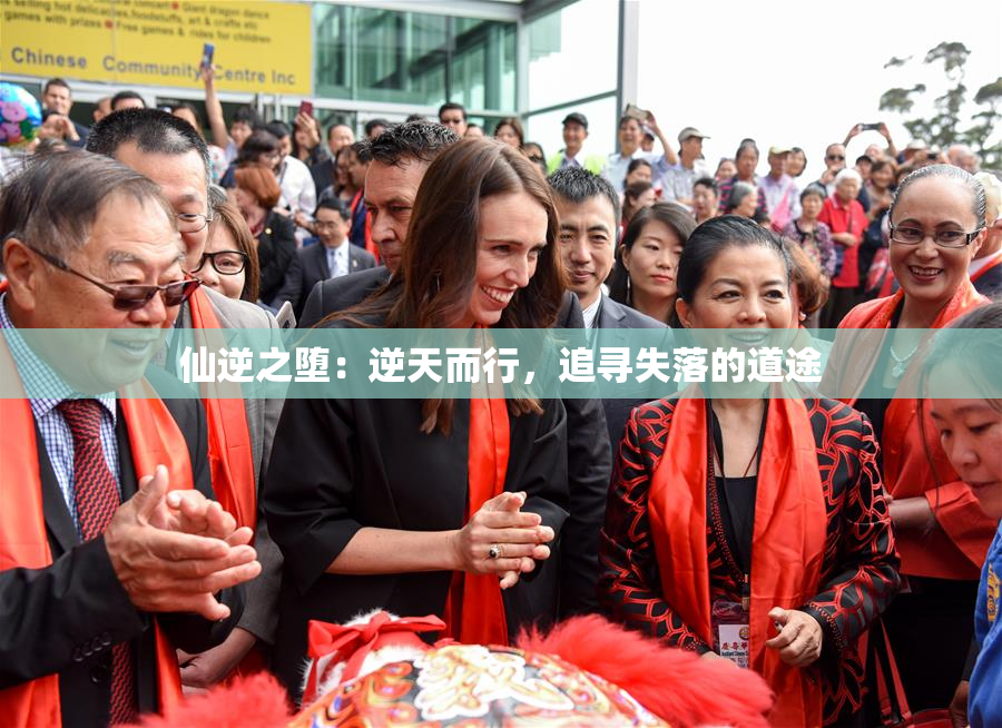 仙逆之堕：逆天而行，追寻失落的道途
