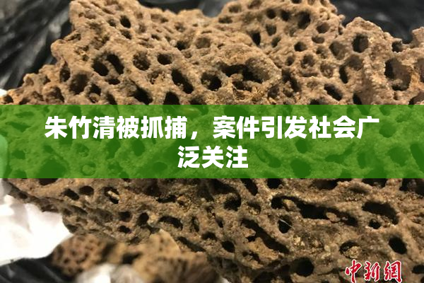 朱竹清被抓捕，案件引发社会广泛关注