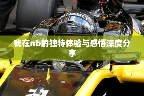 我在nb的独特体验与感悟深度分享