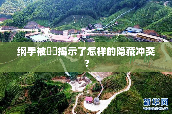 纲手被❌‌揭示了怎样的隐藏冲突？