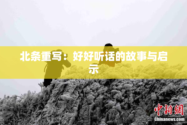 北条重写：好好听话的故事与启示