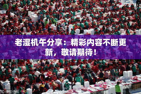 老湿机午分享：精彩内容不断更新，敬请期待！