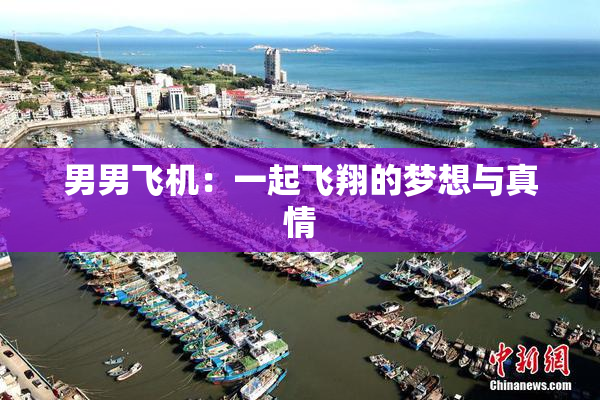 男男飞机：一起飞翔的梦想与真情