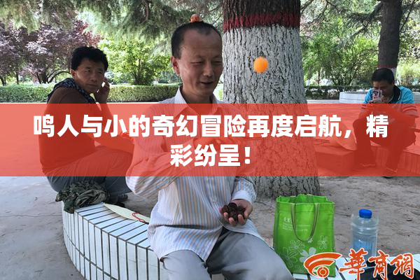 鸣人与小的奇幻冒险再度启航，精彩纷呈！