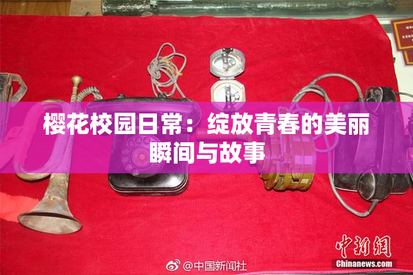 樱花校园日常：绽放青春的美丽瞬间与故事