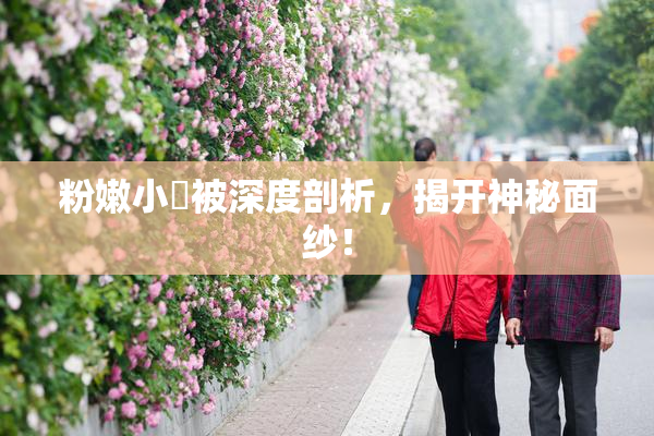粉嫩小泬被深度剖析，揭开神秘面纱！