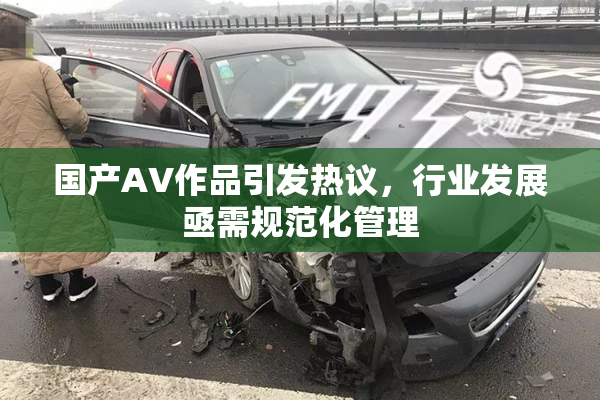 国产AV作品引发热议，行业发展亟需规范化管理