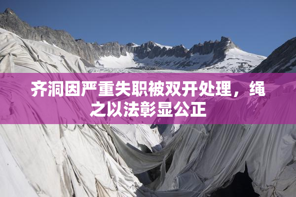 齐洞因严重失职被双开处理，绳之以法彰显公正