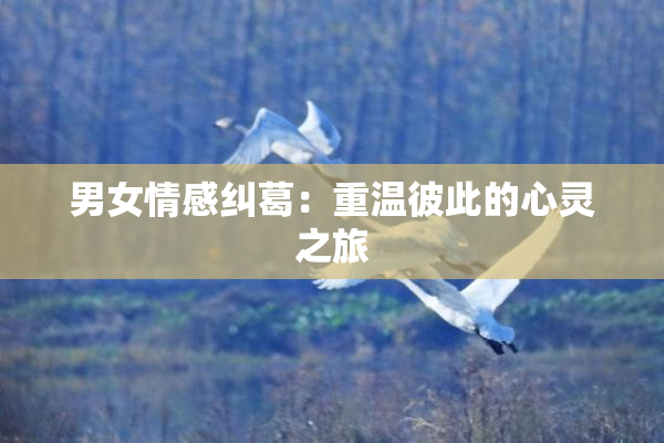 男女情感纠葛：重温彼此的心灵之旅