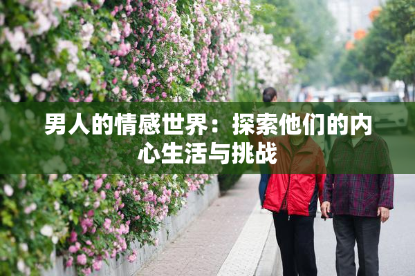 男人的情感世界：探索他们的内心生活与挑战
