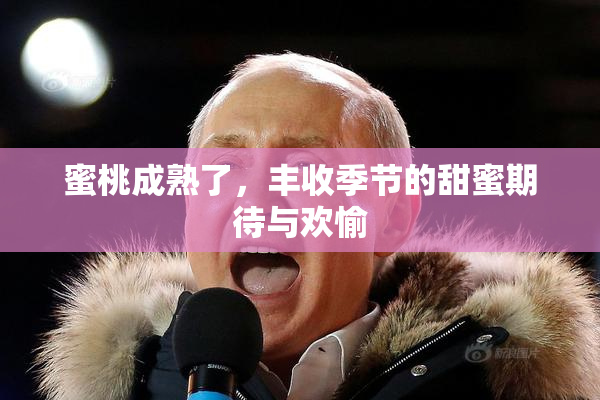 蜜桃成熟了，丰收季节的甜蜜期待与欢愉