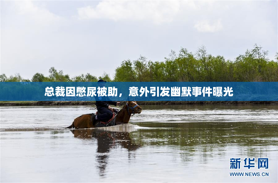 总裁因憋尿被助，意外引发幽默事件曝光