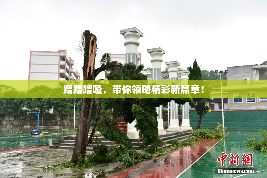 蹭蹭蹭噔，带你领略精彩新篇章！