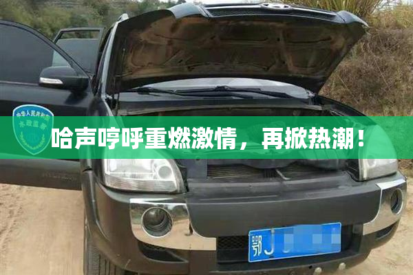 哈声哼呼重燃激情，再掀热潮！