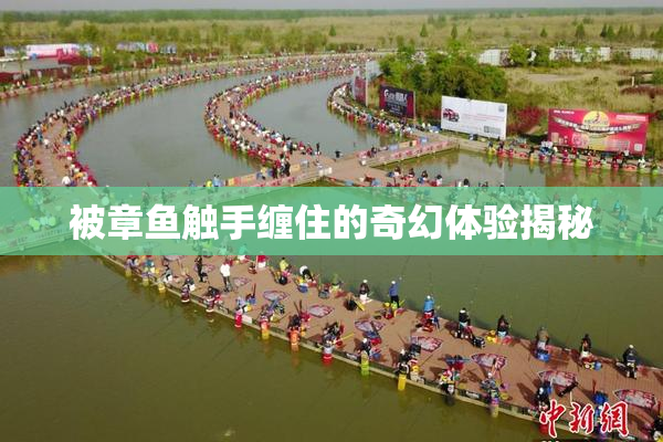 被章鱼触手缠住的奇幻体验揭秘