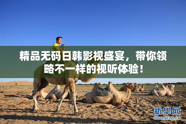 精品无码日韩影视盛宴，带你领略不一样的视听体验！