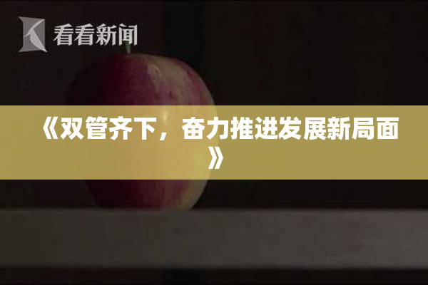 《双管齐下，奋力推进发展新局面》