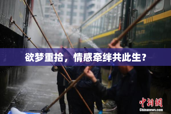 欲梦重拾，情感牵绊共此生？