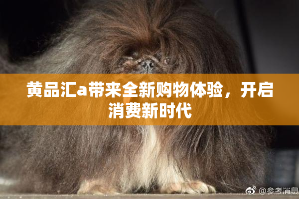 黄品汇a带来全新购物体验，开启消费新时代