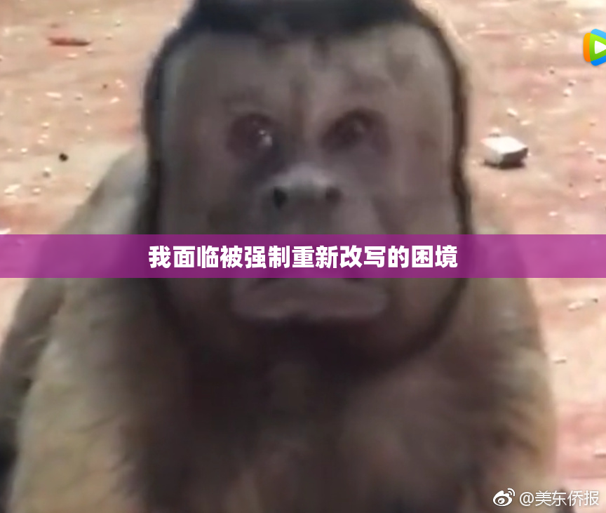 我面临被强制重新改写的困境