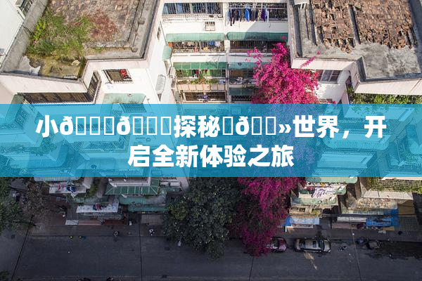 小🐔🐔探秘‌🐻世界，开启全新体验之旅