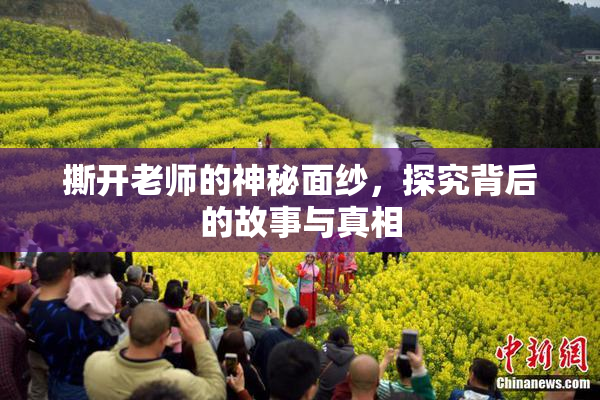 撕开老师的神秘面纱，探究背后的故事与真相