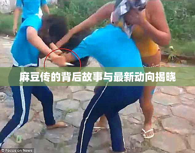 麻豆传的背后故事与最新动向揭晓