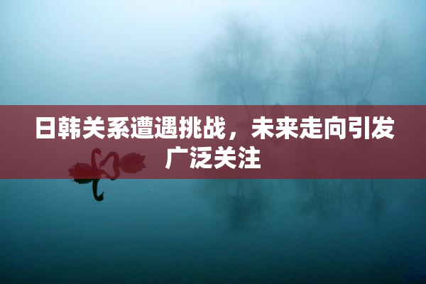 日韩关系遭遇挑战，未来走向引发广泛关注