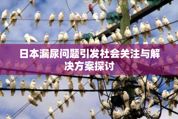 日本漏尿问题引发社会关注与解决方案探讨