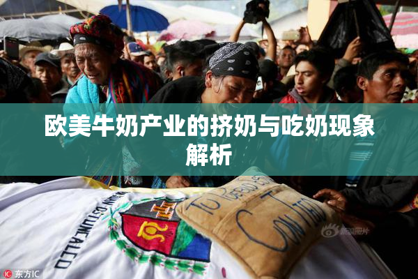 欧美牛奶产业的挤奶与吃奶现象解析