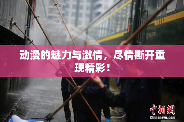 动漫的魅力与激情，尽情撕开重现精彩！