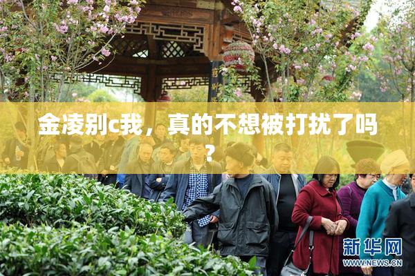 金凌别c我，真的不想被打扰了吗？