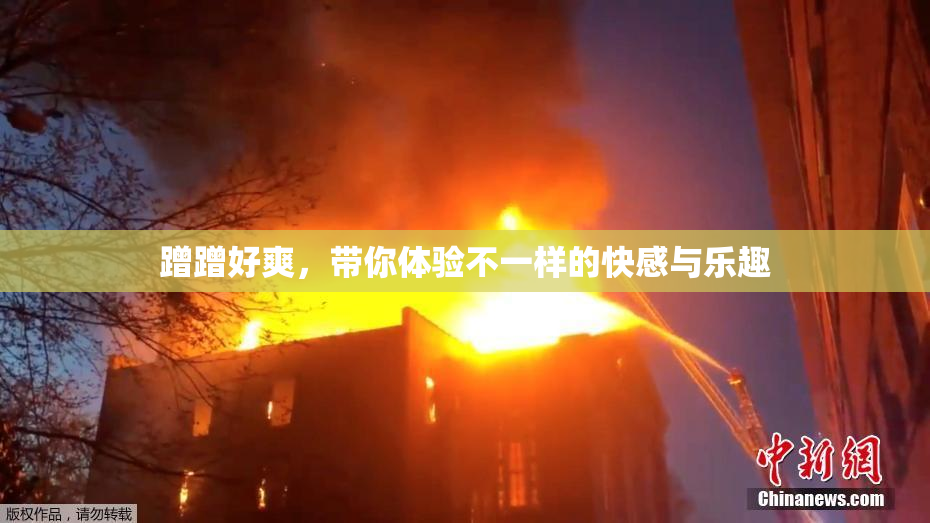蹭蹭好爽，带你体验不一样的快感与乐趣