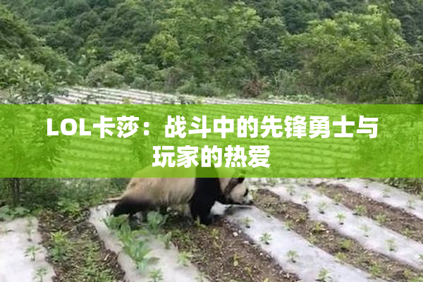 LOL卡莎：战斗中的先锋勇士与玩家的热爱