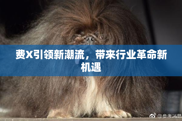 费X引领新潮流，带来行业革命新机遇