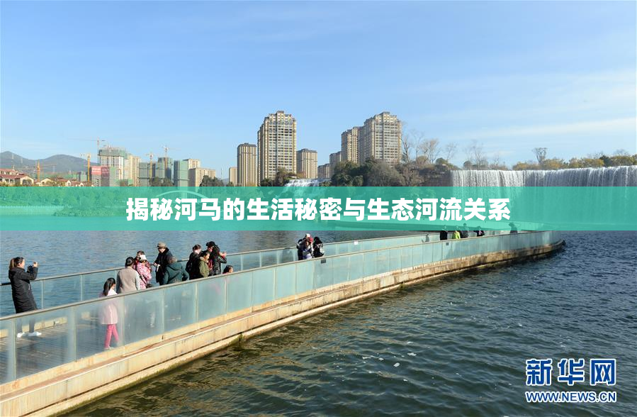 揭秘河马的生活秘密与生态河流关系