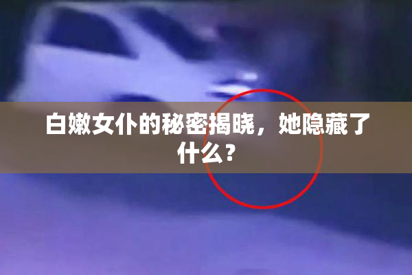 白嫩女仆的秘密揭晓，她隐藏了什么？