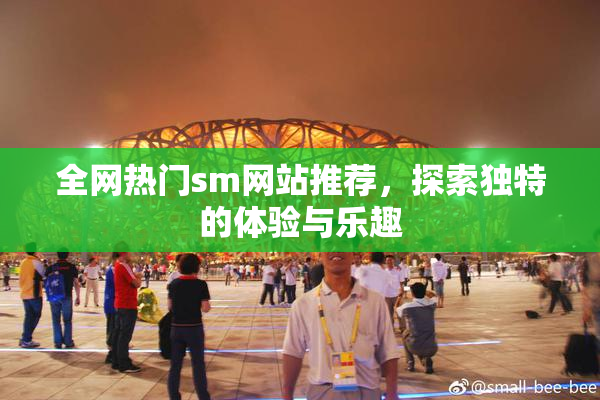 全网热门sm网站推荐，探索独特的体验与乐趣