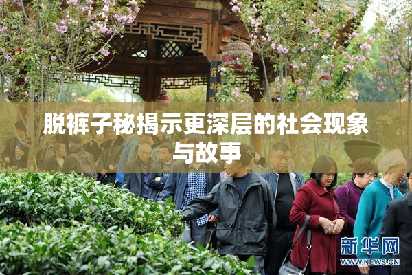 脱裤子秘揭示更深层的社会现象与故事